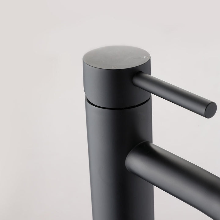 Matte Black Single-Handle Sink Faucet Kalsten