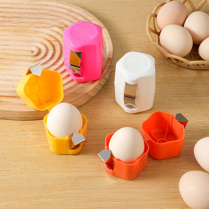 Multifunctional egg cooker with transparent lid | Kalsten