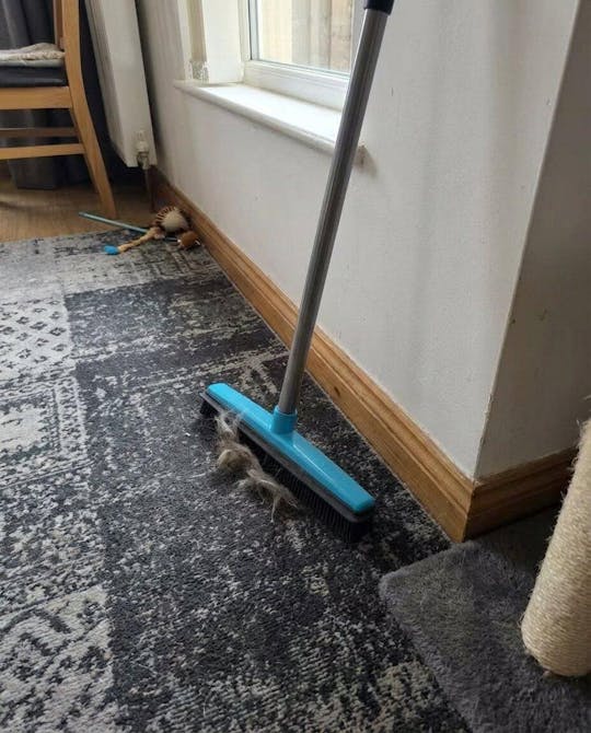 FurCleer — Put an end to pet hair and feel free in your home | Kalsten