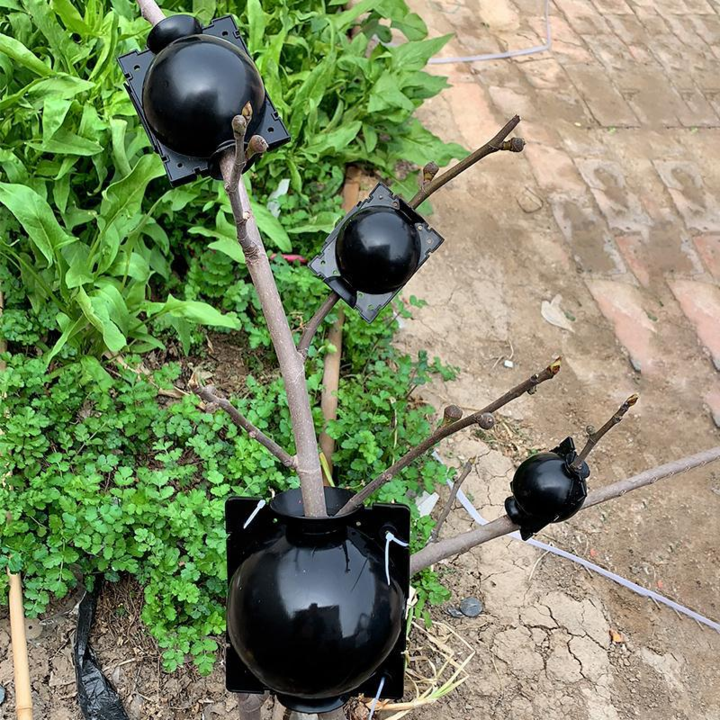 Air Layer Plant Propagation Capsule | Kalsten