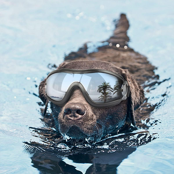 Kalsten | Outdoor Protection Glasses for Dogs