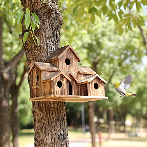 BowLift | 6-Hole Handmade Birdhouse