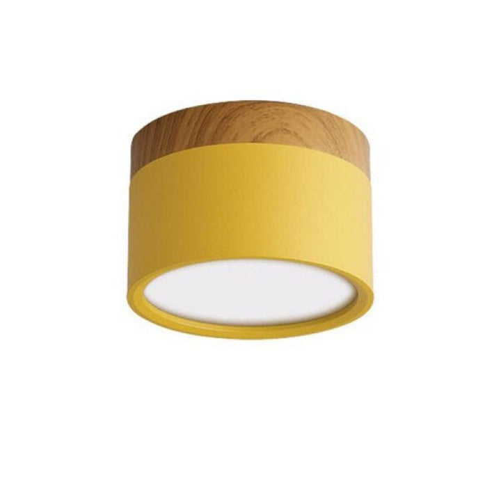 Morandi Style Modern LED Ceiling Lamp - LumiModo | Kalsten