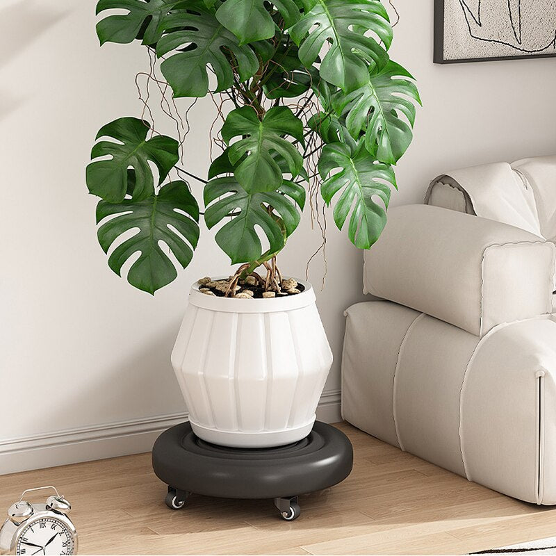 Kalsten | 360 Rotating Wheeled Rolling Stool