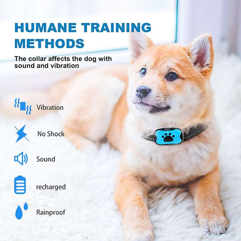 Anti-Bark Training Collar with Vibration