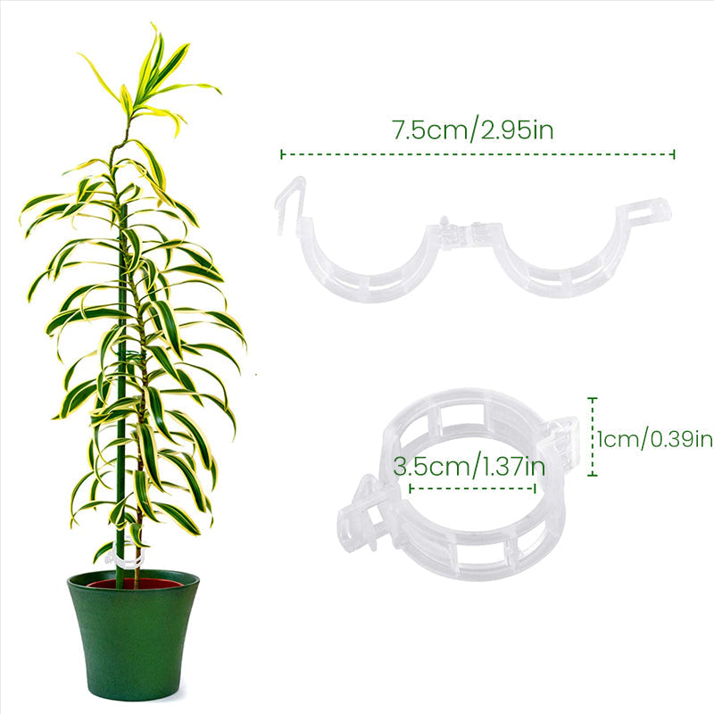 Plastic ring for holding plants | Kalsten