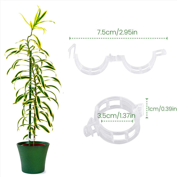 Plastic ring for holding plants | Kalsten