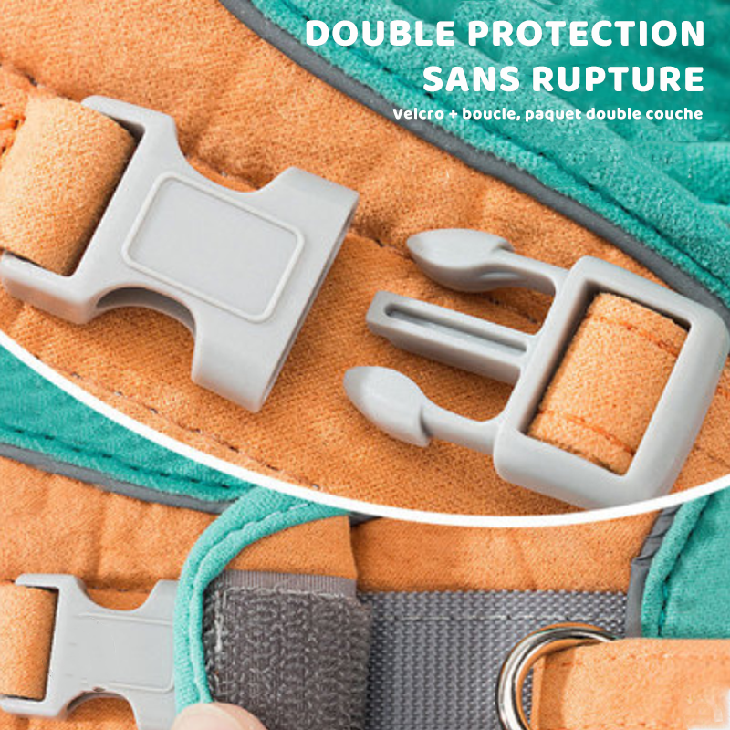 Harness and Leash Set for Cat | Kalsten