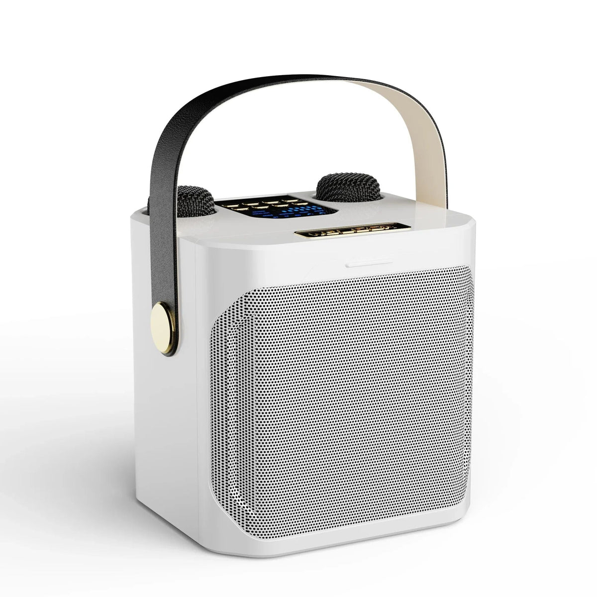 Skanto | Karaoke Bluetooth Speaker | 360° Surround Sound, Dual Microphones & Portable for Parties and Outdoor Gatherings