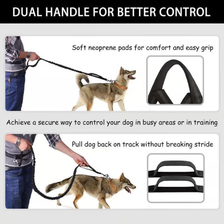 Kalsten | Hands Free Dog Leash with Zipper Bag