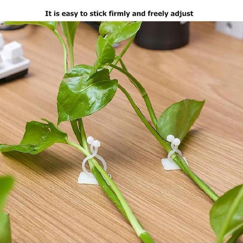 Wall Clip for Climbing Plants (30 pieces) | Kalsten