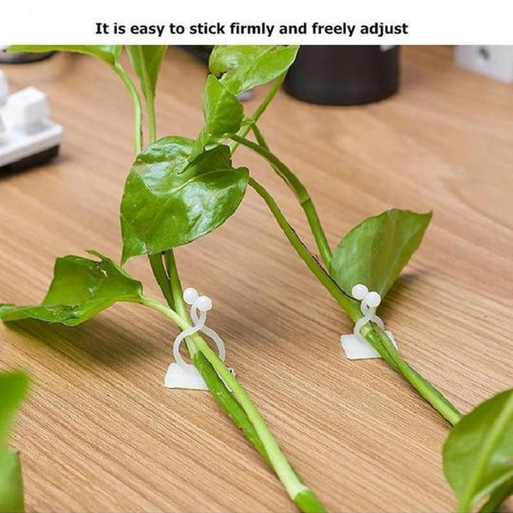 Wall Clip for Climbing Plants (30 pieces) | Kalsten