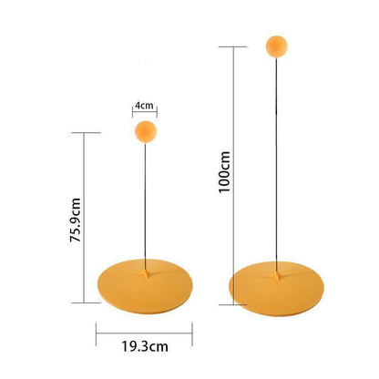 Table tennis coach - A person can also play table tennis