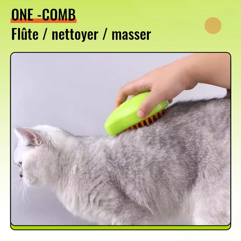 Spray massage comb for pets | Kalsten