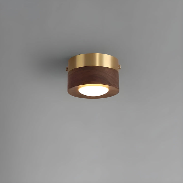 WalnutLume Light – Modern LED Ceiling Light made of Walnut Wood | Kalsten