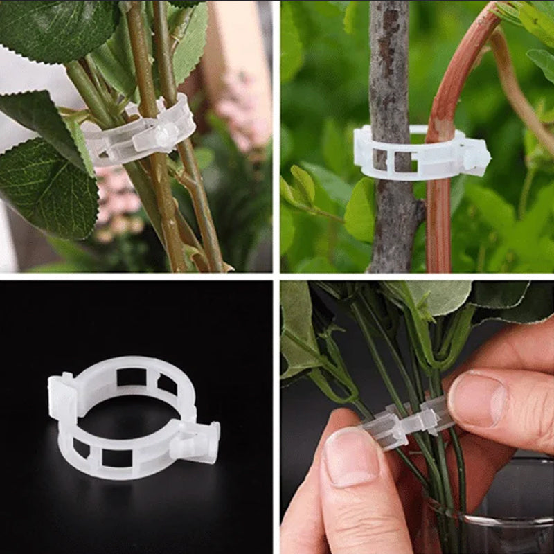 Practical Plant Support Clip | Kalsten