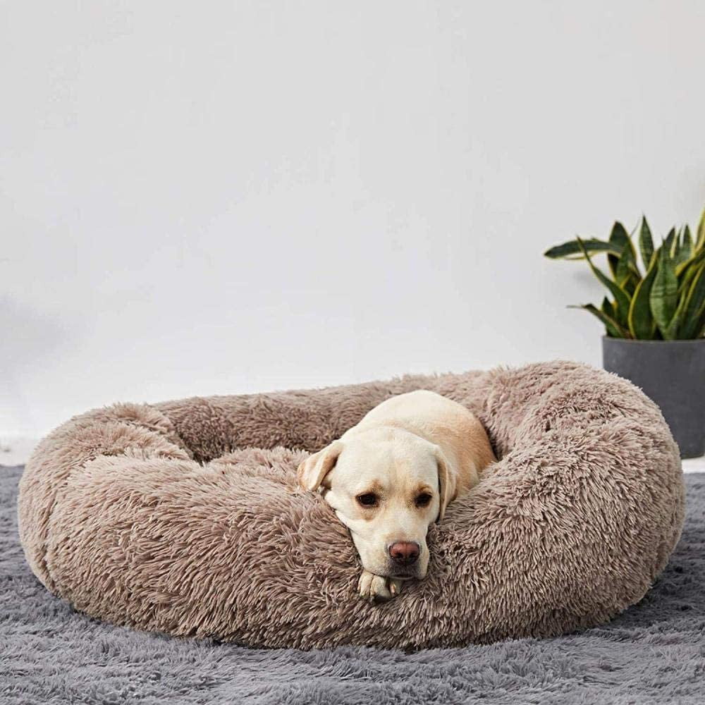 Orthopedic Plush Donut Dog Bed Kalsten