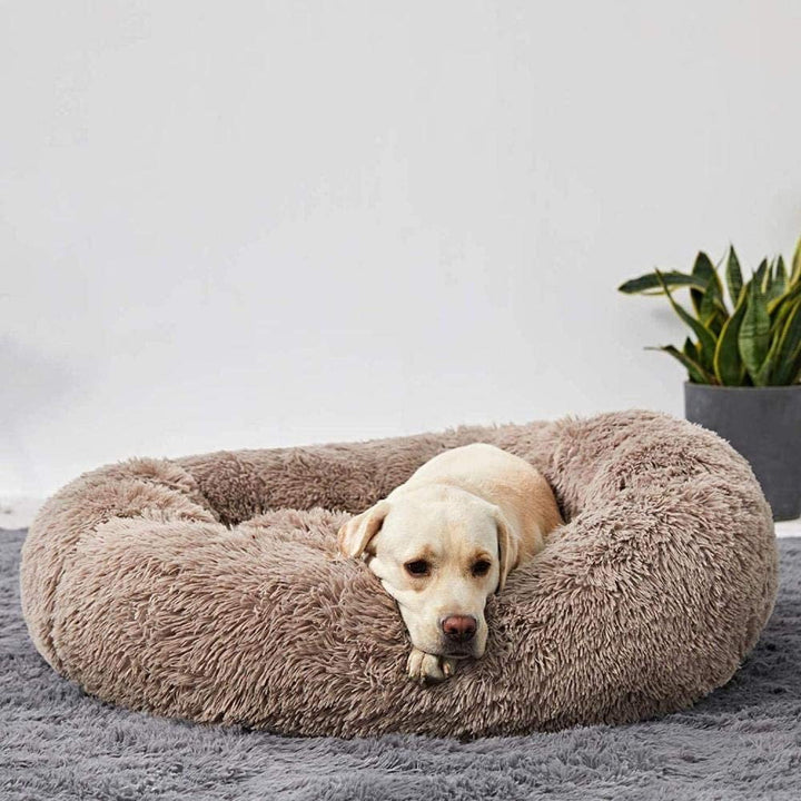 Orthopedic Plush Donut Dog Bed Kalsten
