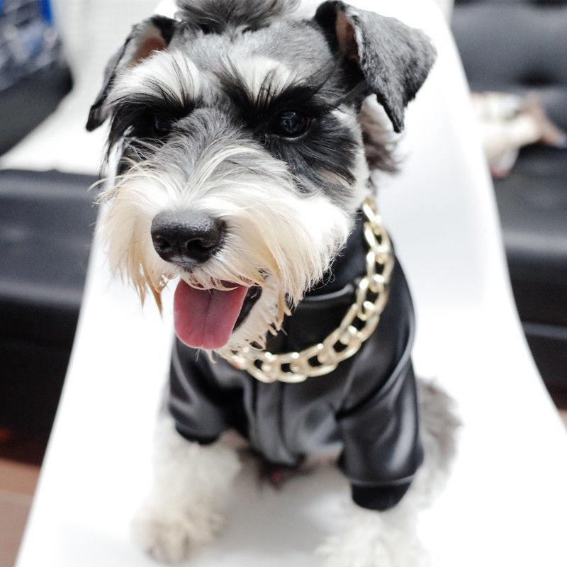 Noxord | Pet Jewelry Thick Gold Chain Collar