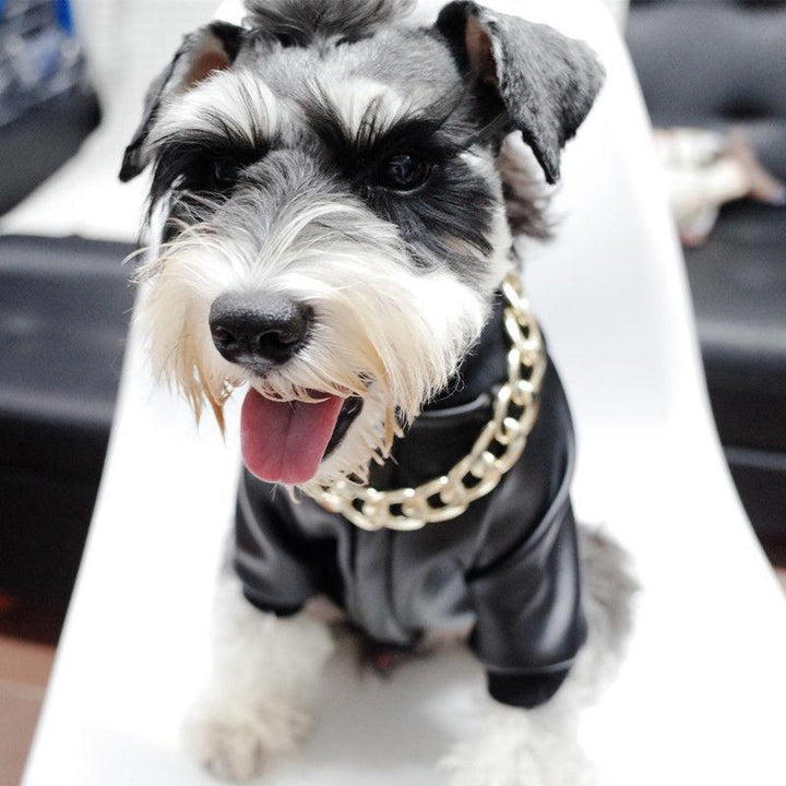Noxord | Pet Jewelry Thick Gold Chain Collar