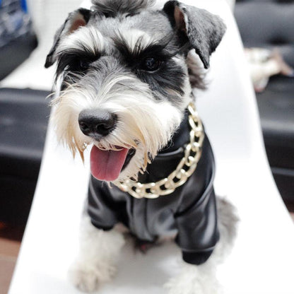 Noxord | Pet Jewelry Thick Gold Chain Collar