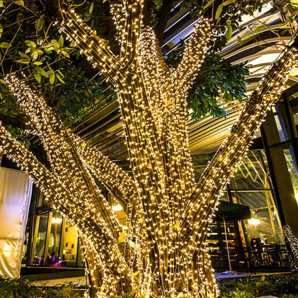 Weather-Resistant Solar LED String Lights