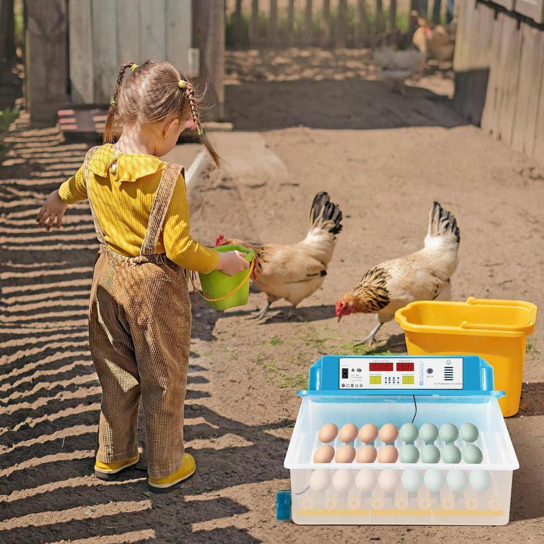Brutautomat Fully Automatic Incubator for Chickens 64 Eggs | Kalsten