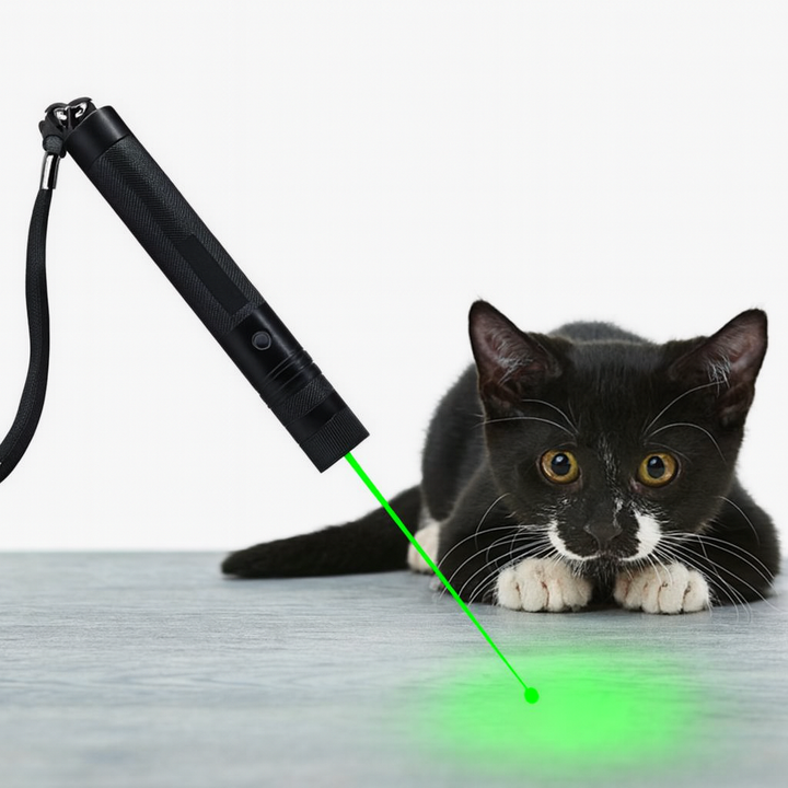 Kalsten | Laser Pointer Aluminum Adjustable Focus