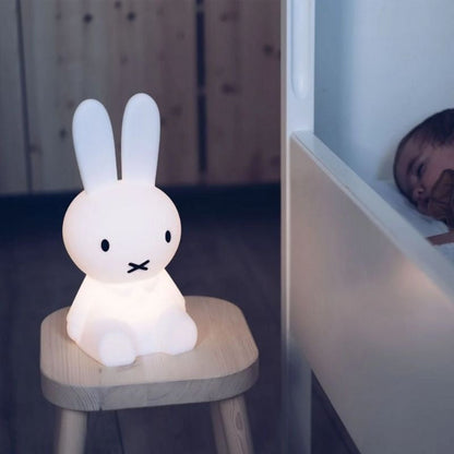 Frendorf | Rabbit Decorative Figure | Iconic Figure Design