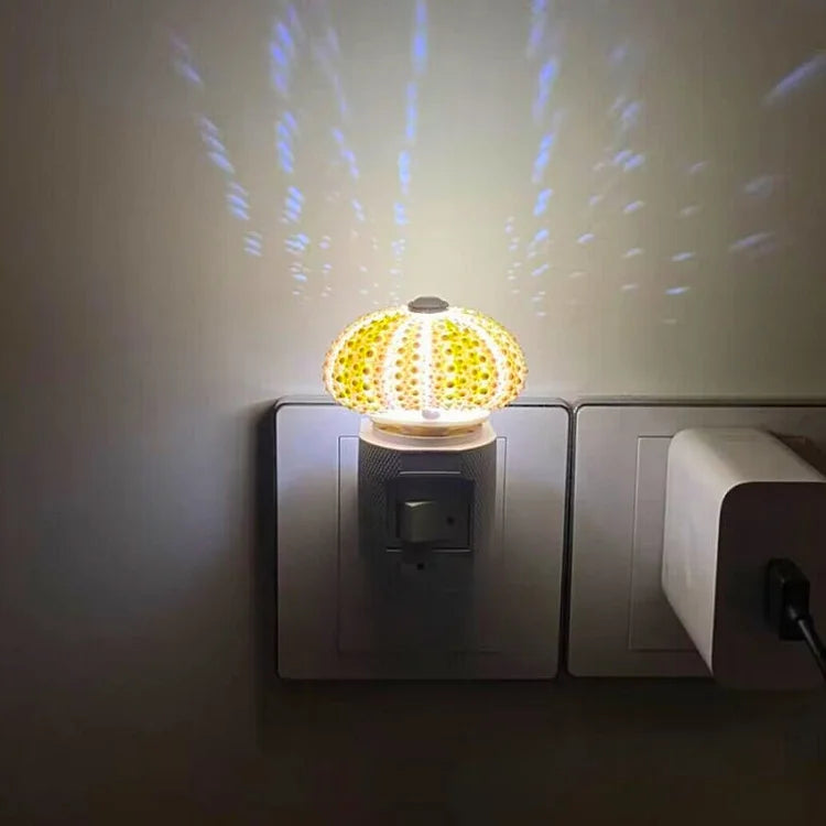 LumiCraft – Unique DIY table lamp with natural sea shell for a cozy décor | Kalsten