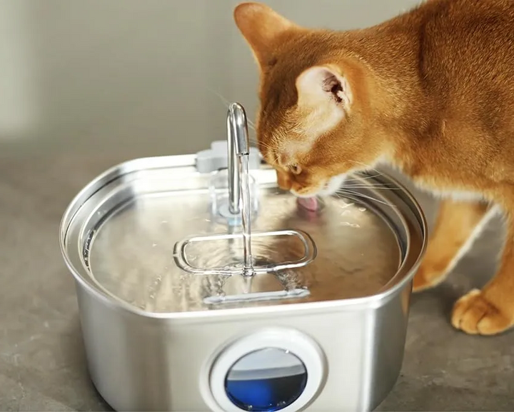 Kalsten | Ultra-Quiet Stainless Steel Pet Water Fountain with Triple Filtration System - 108.2oz Capacity for Cats and Dogs