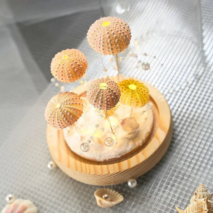 LumiCraft – Unique DIY table lamp with natural sea shell for a cozy décor | Kalsten