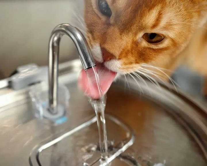 Kalsten | Ultra-Quiet Stainless Steel Pet Water Fountain with Triple Filtration System - 108.2oz Capacity for Cats and Dogs