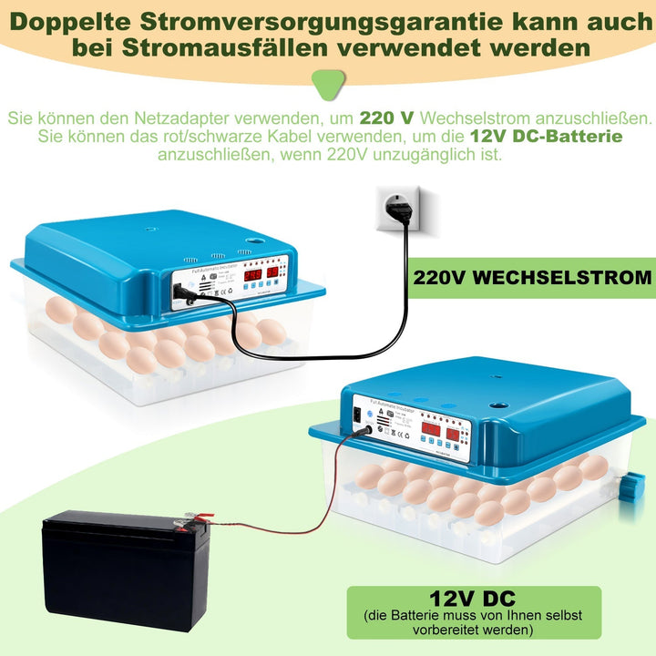 Brutautomat Fully Automatic Incubator for Chickens 36 Eggs | Kalsten
