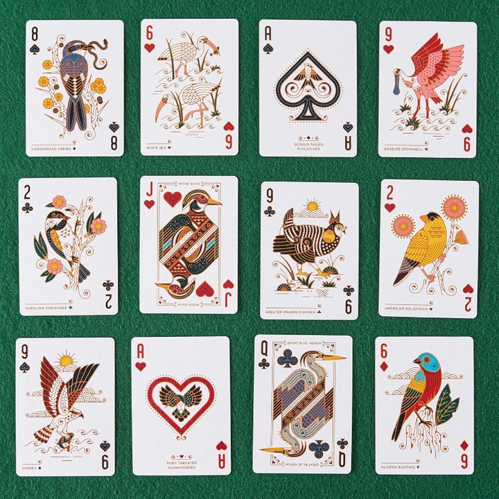 Kalsten | Birds of North America Cards