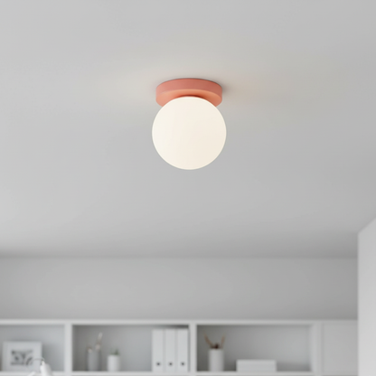 Frosted Glass Globe Wall & Ceiling Sconce