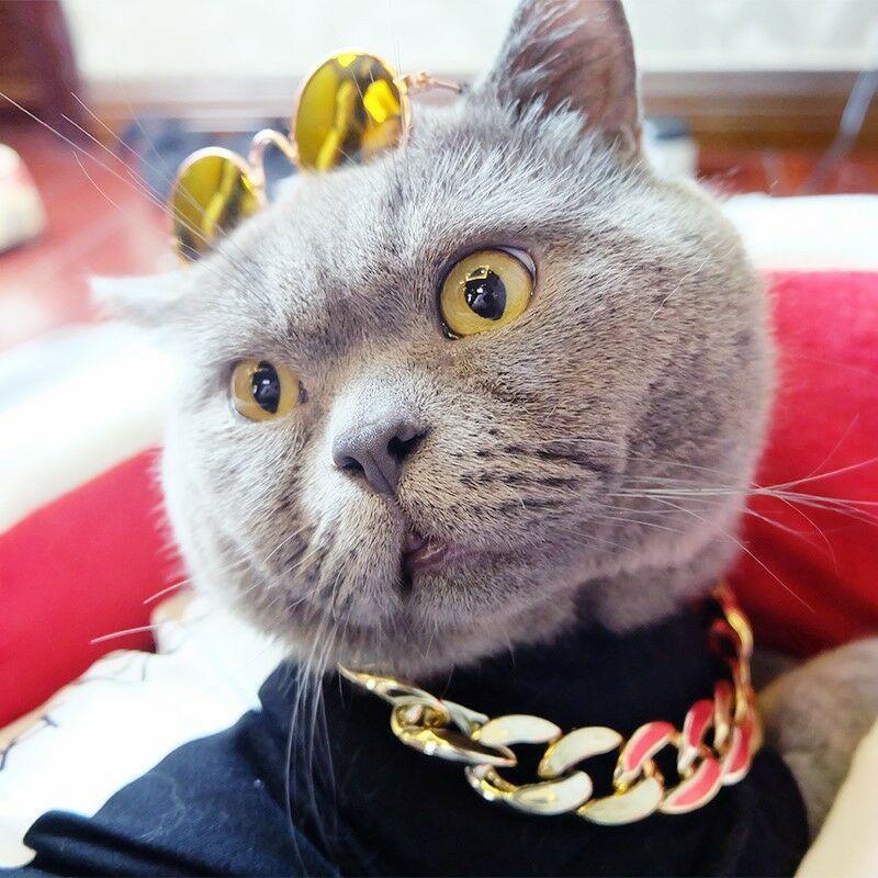 Noxord | Pet Jewelry Thick Gold Chain Collar