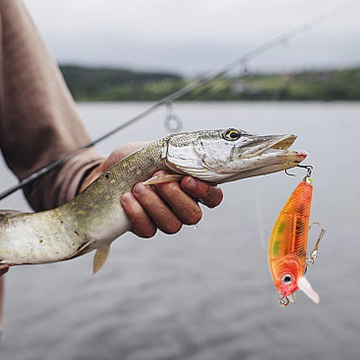 24-Day Fishing Rod Advent Calendar