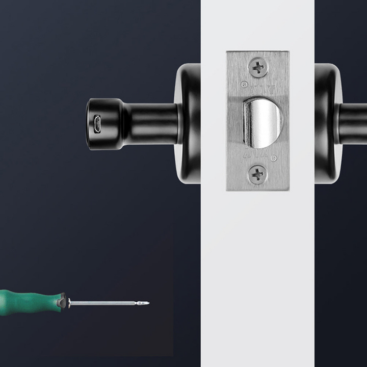Electronic Fingerprint Door Lock with App Control and Backup Power
