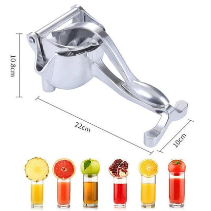 Skanto | Stainless Steel Fruit Juicer