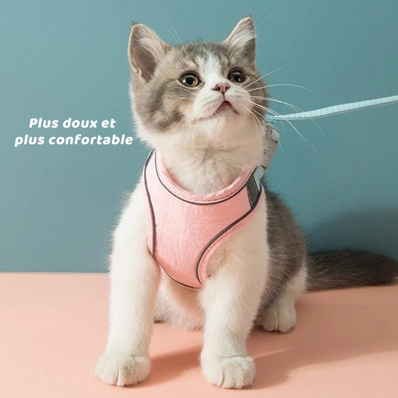 Harness and Leash Set for Cat | Kalsten