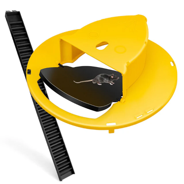 Reusable live trap for mice & rats | Kalsten