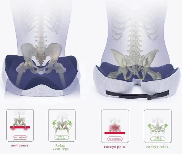 Kalsten | Adjustable Memory Foam Sit Bone Relief Seat Cushion