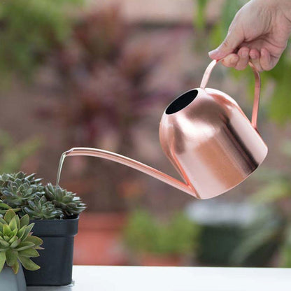 Stainless steel watering can with flexible neck | Modern design | Perfect watering | Rust-free
