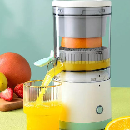 Skanto | Household Electric Juicer