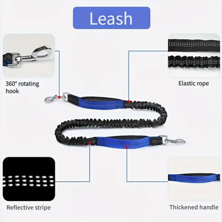Kalsten | Hands Free Dog Leash with Zipper Bag