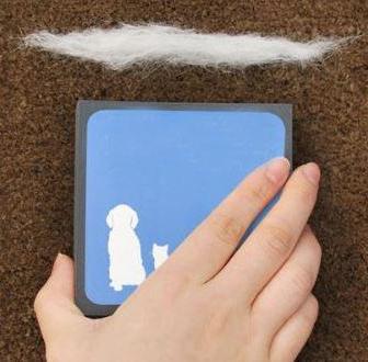 Magic Fur Brush | Kalsten
