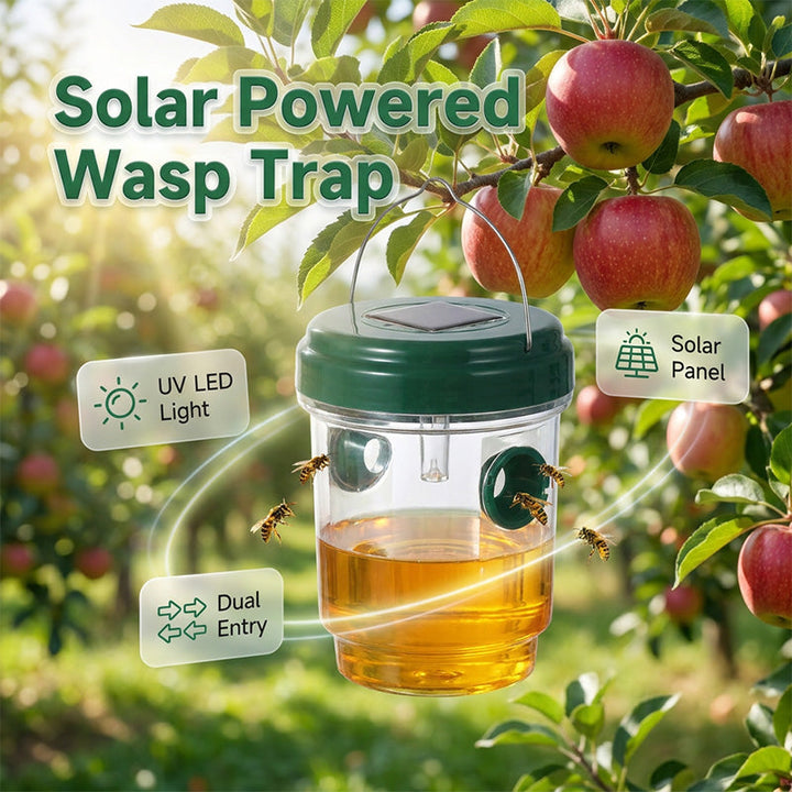 Solar powered wasp trap with LED lure | Kalsten