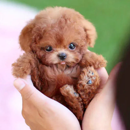 Skanto | SnugglePup – Realistic Plush Puppy with Lifelike Details