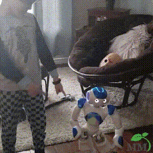 Kalsten | Kids Learning Robot | Intelligent Toy with Gesture Control | Music, Dance & Programming | Gift for Christmas & Birthday